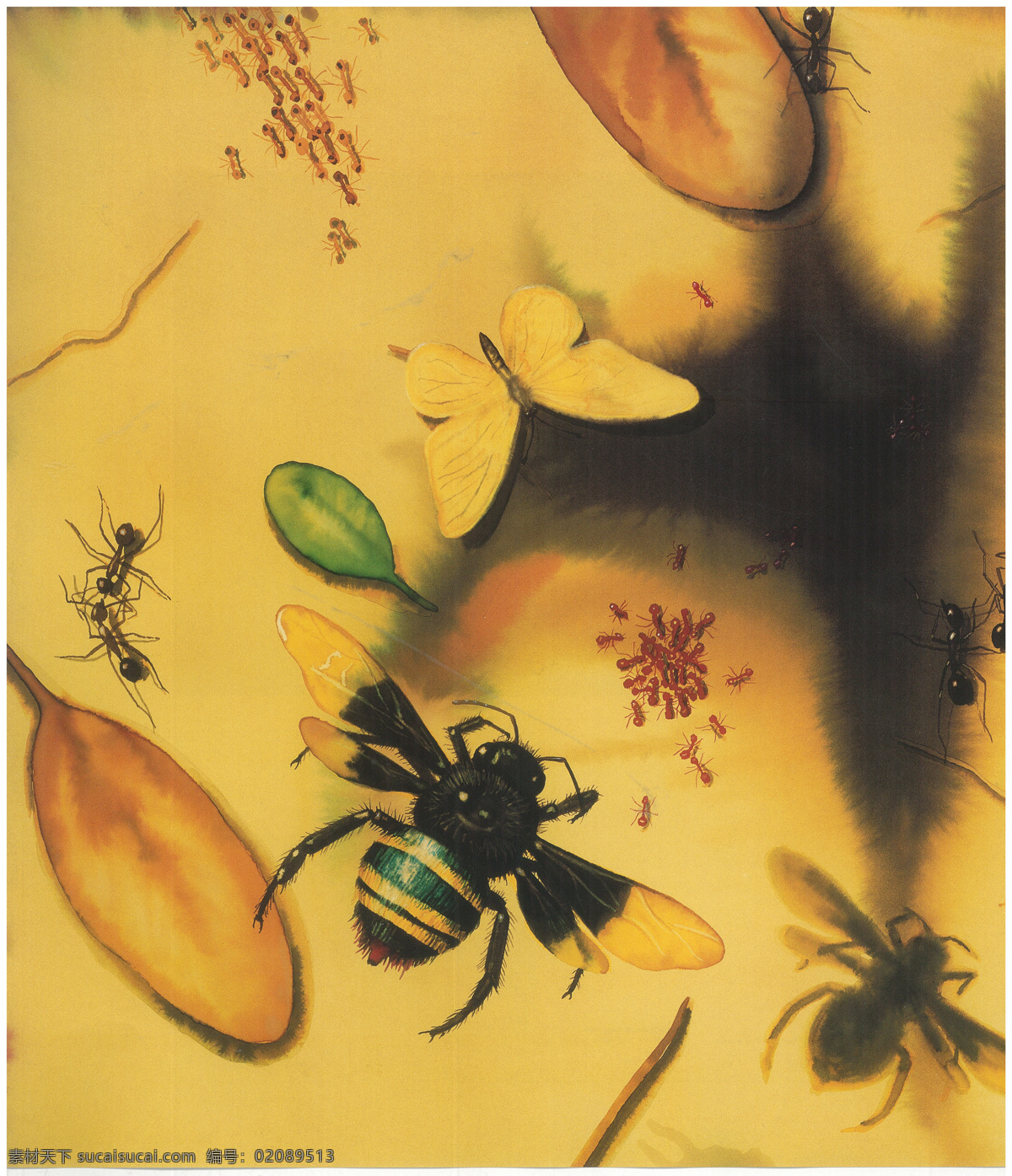 手绘蜜蜂蚂蚁 手绘 蜜蜂 蚂蚁 微观 昆虫 生物 蝴蝶 生物世界 黄色