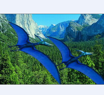 翼 龙 飞行 模型 3d模型 大自然风景 翼龙飞行模型 3d模型素材 其他3d模型