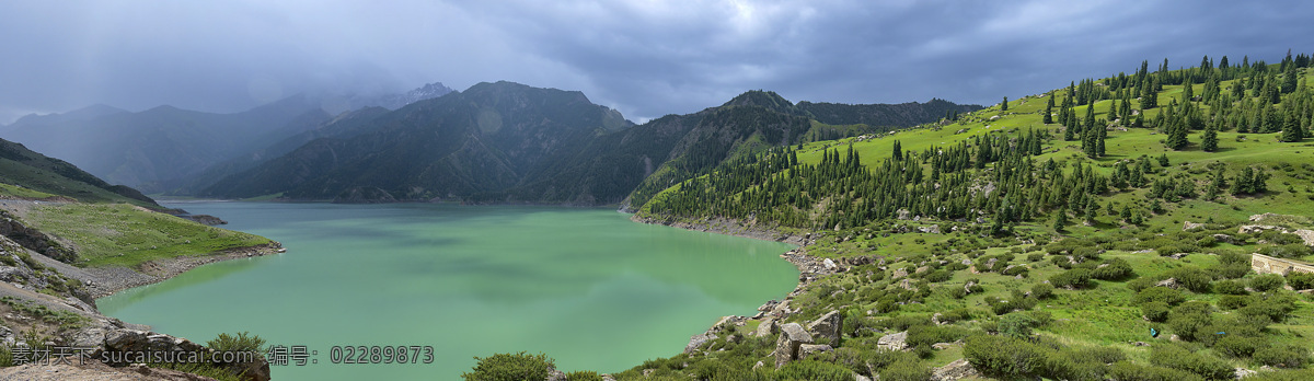 库车大龙池 蓝天 阳光 松树 植被 大龙池 水雾 新疆自然风景 自然风景 自然景观