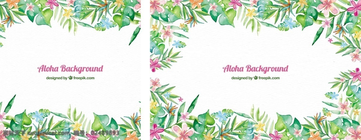 aloha 框架 背景 花卉 夏季 花卉背景 壁纸 热带 夏威夷 季节 热带花卉 背景花卉 异国情调 季节性