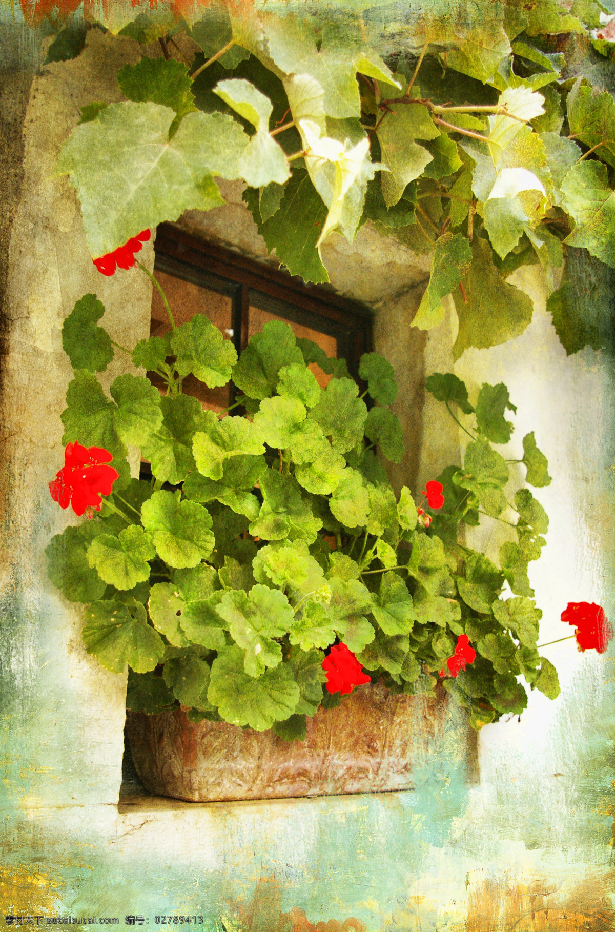 墙壁 里 盆栽 绿色 鲜花 茁壮 生命力 园林景观 环境家居