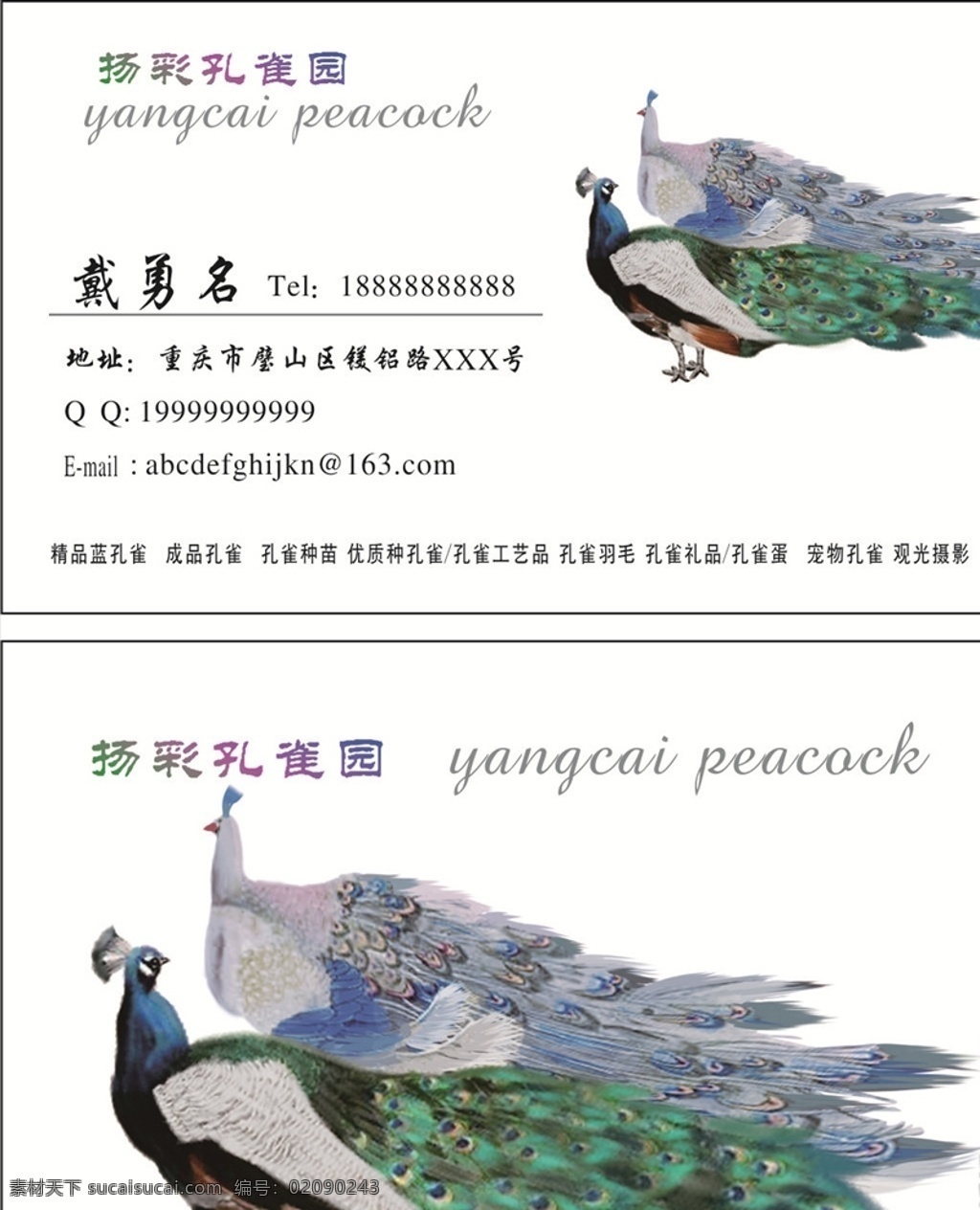 孔雀 养殖业 名片 孔雀园 扬彩 孔雀羽毛 小孔雀 种苗 繁育 产品 礼品 肉食 饰品 拍摄 婚纱 艺术照 孔雀蛋 孔雀扇 文艺 名片卡片