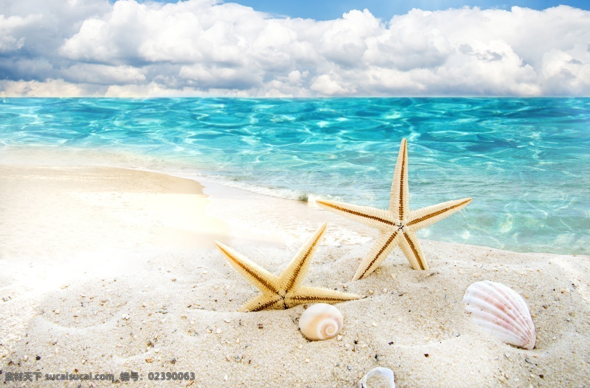 海滩 沙滩 海边 蓝天白云 还是 清澈 海浪 大海 贝壳 海螺 海星 背景 主题摄影 海洋生物 生物世界