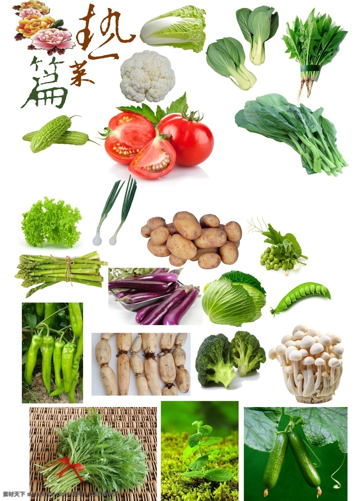 菜单 菜单菜谱 餐饮 广告设计模板 金针菇 美食 藕 豌豆 洋芋 源文件 画册 菜谱 封面