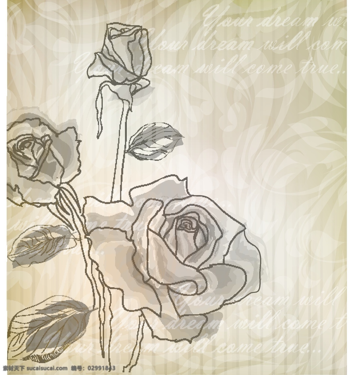 优雅 玫瑰 图案 背景壁纸