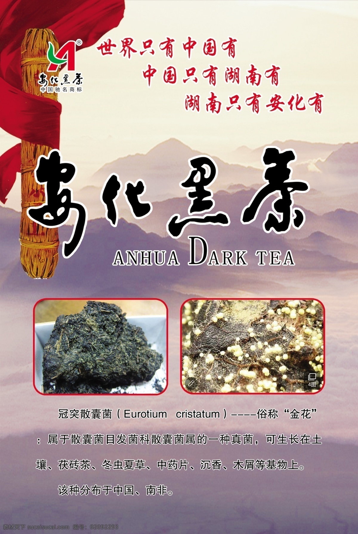 安化黑茶 湖 南 安 化 黑 茶 分层