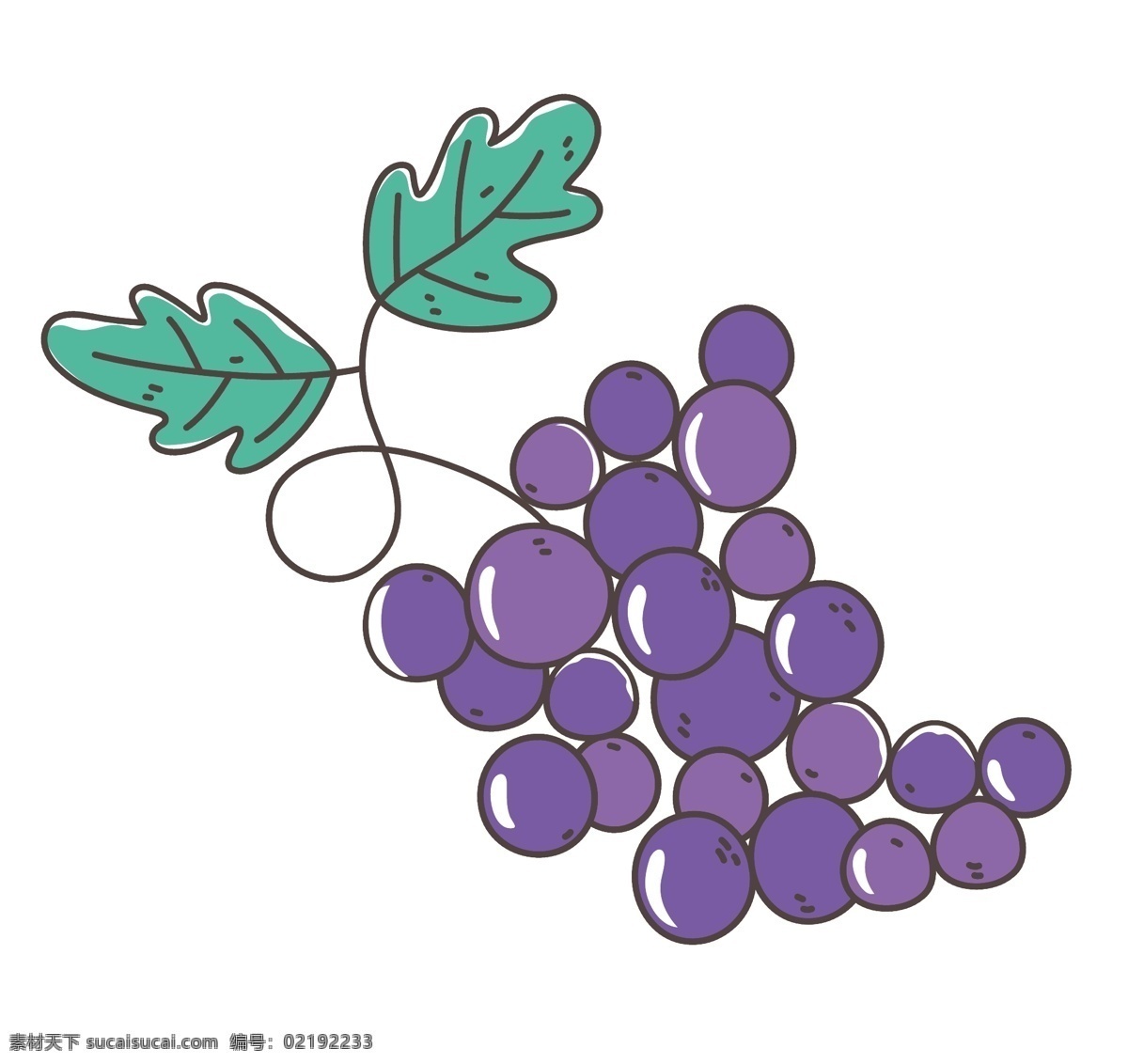 手绘葡萄 矢量葡萄 卡通葡萄 葡萄插画 逼真葡萄 水果葡萄 紫色葡萄 红色葡萄 黑色葡萄 青色葡萄 新鲜葡萄 新鲜提子 创意葡萄 元素