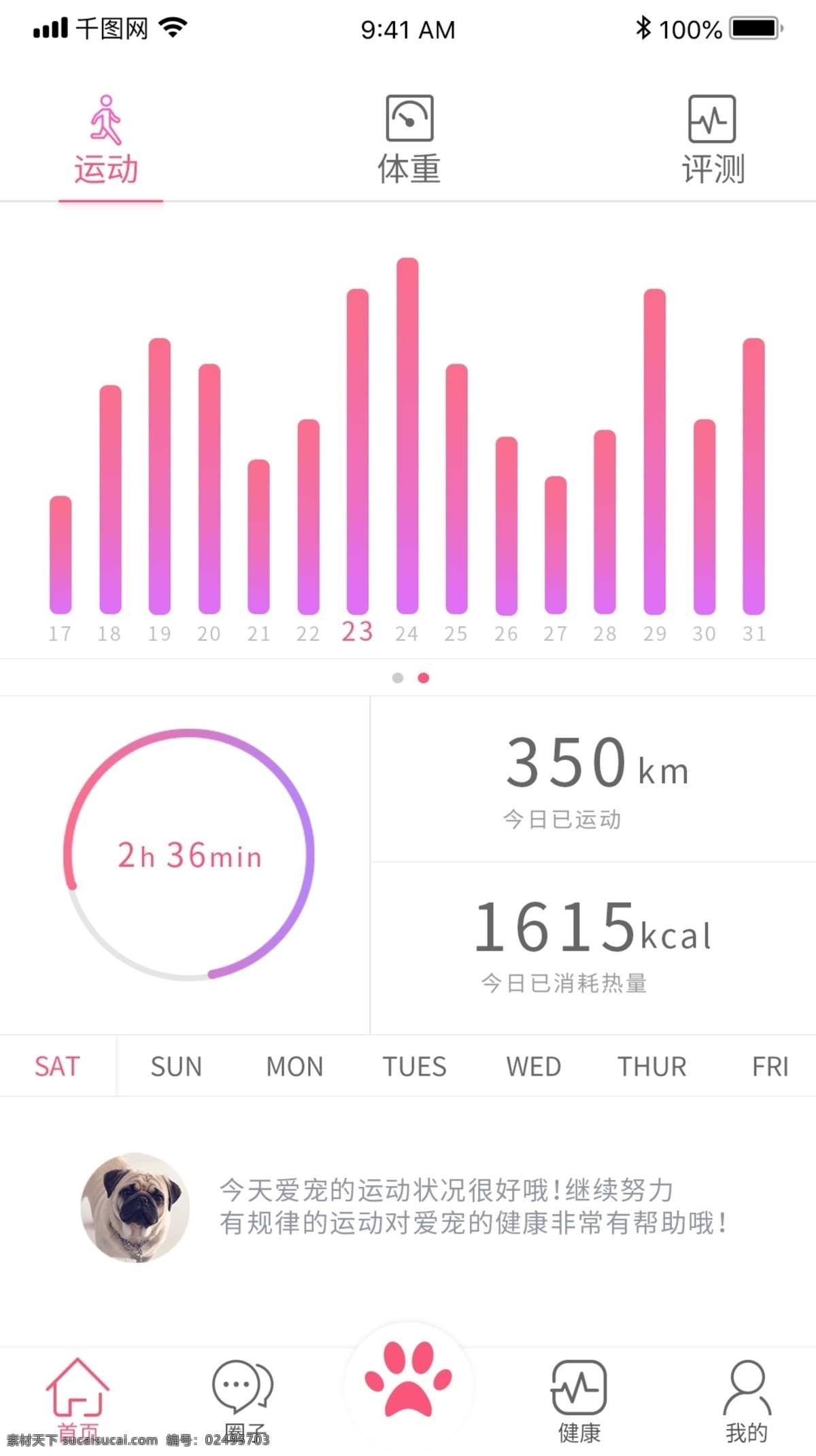 粉色 渐变 宠物 数据 详情 界面 大 大数据 数据详情