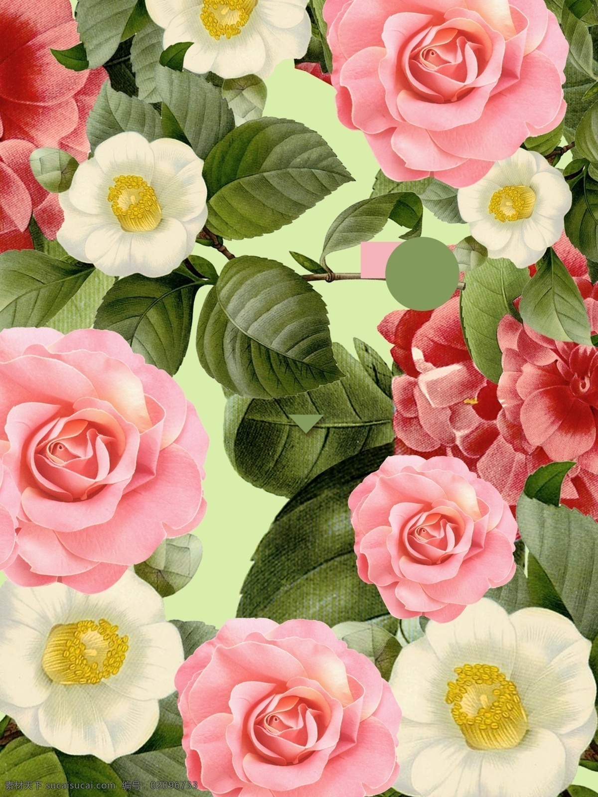 手绘 玫瑰花 广告 背景 广告背景 浪漫 花朵 树叶 粉色 雏菊