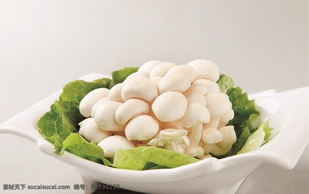 白玉菇 美食 传统美食 餐饮美食 高清菜谱用图
