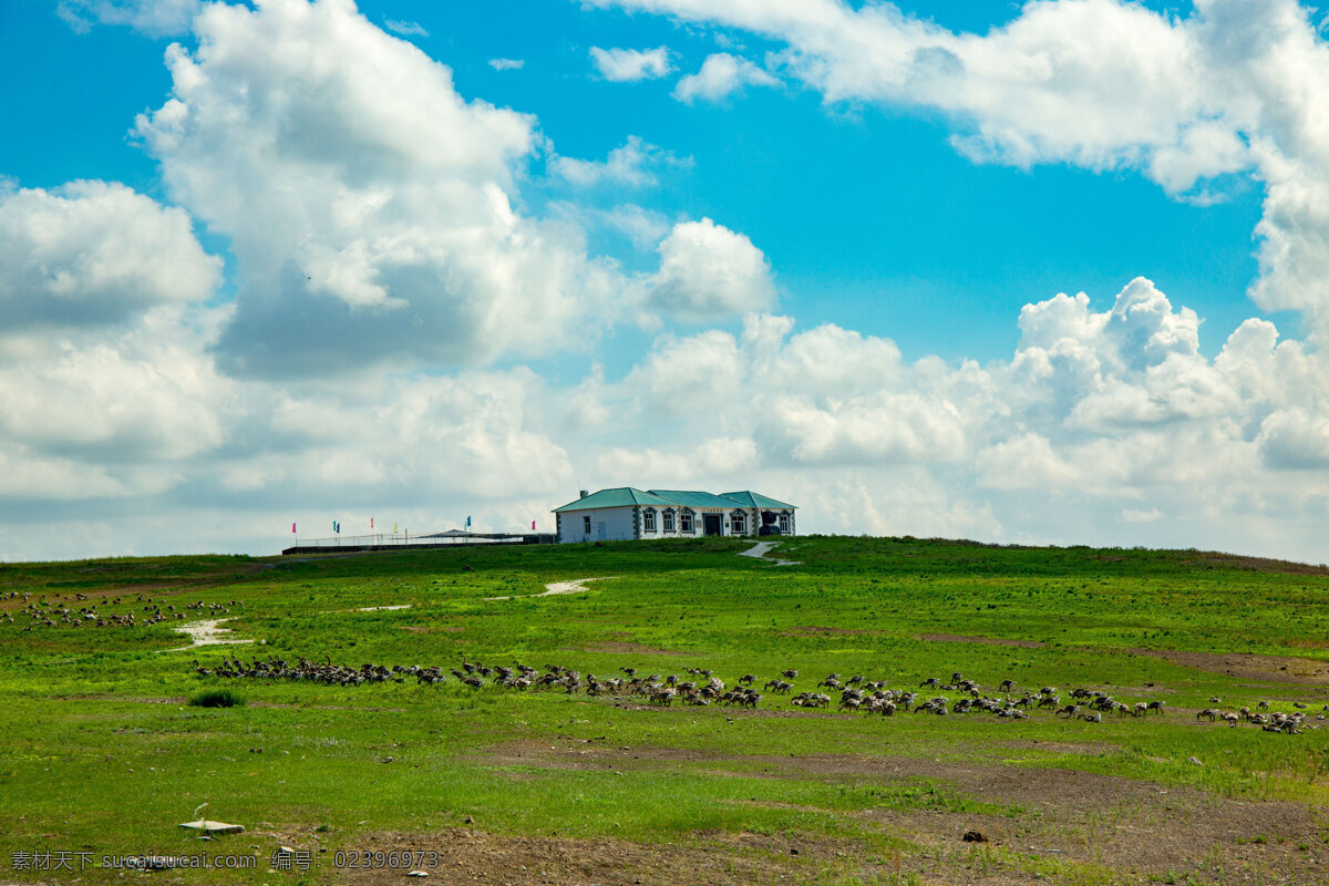 中 俄 边境 二 卡 湿地 内蒙古 呼伦贝尔 草原 蓝天 白云 大 旅游摄影 国内旅游