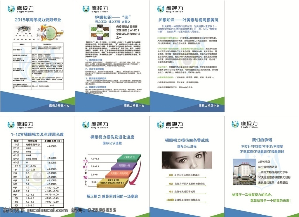 鹰视力 视力恢复 视力制度 护眼 护眼知识