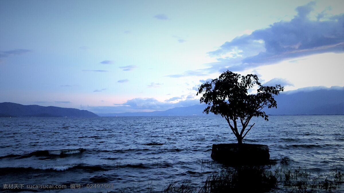 傍晚洱海 傍晚 洱海 湖 树 夕阳 云彩 天空 自然景观 山水风景
