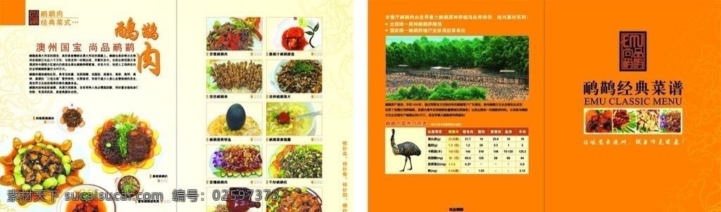 鸸鹋肉菜谱 澳洲国宝美食 美食天地菜式 菜单菜谱 矢量
