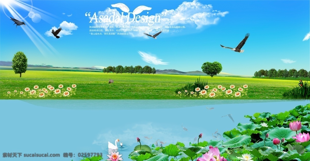 荷花风景图 荷花风景 荷塘 天空 云朵 太阳 白鹅 飞鸟 雄鹰 水天交接 远山 荷花分层 风景 分层 源文件
