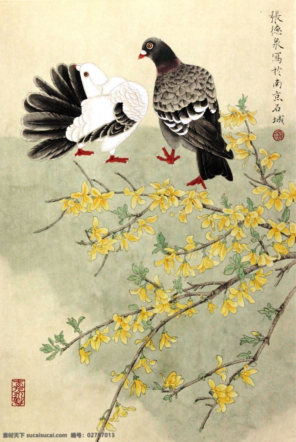 迎春花 鸽子 国画 工笔画 花鸟画 张德泉 绘画书法 文化艺术