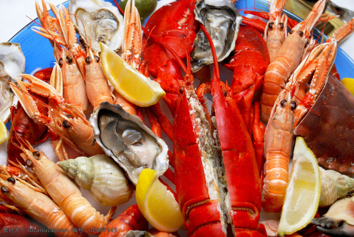 各种海鲜美食 各种 海鲜 美食 食物 餐厅美食 大虾 虾 花蛤 其他类别 餐饮美食 中华美食 红色
