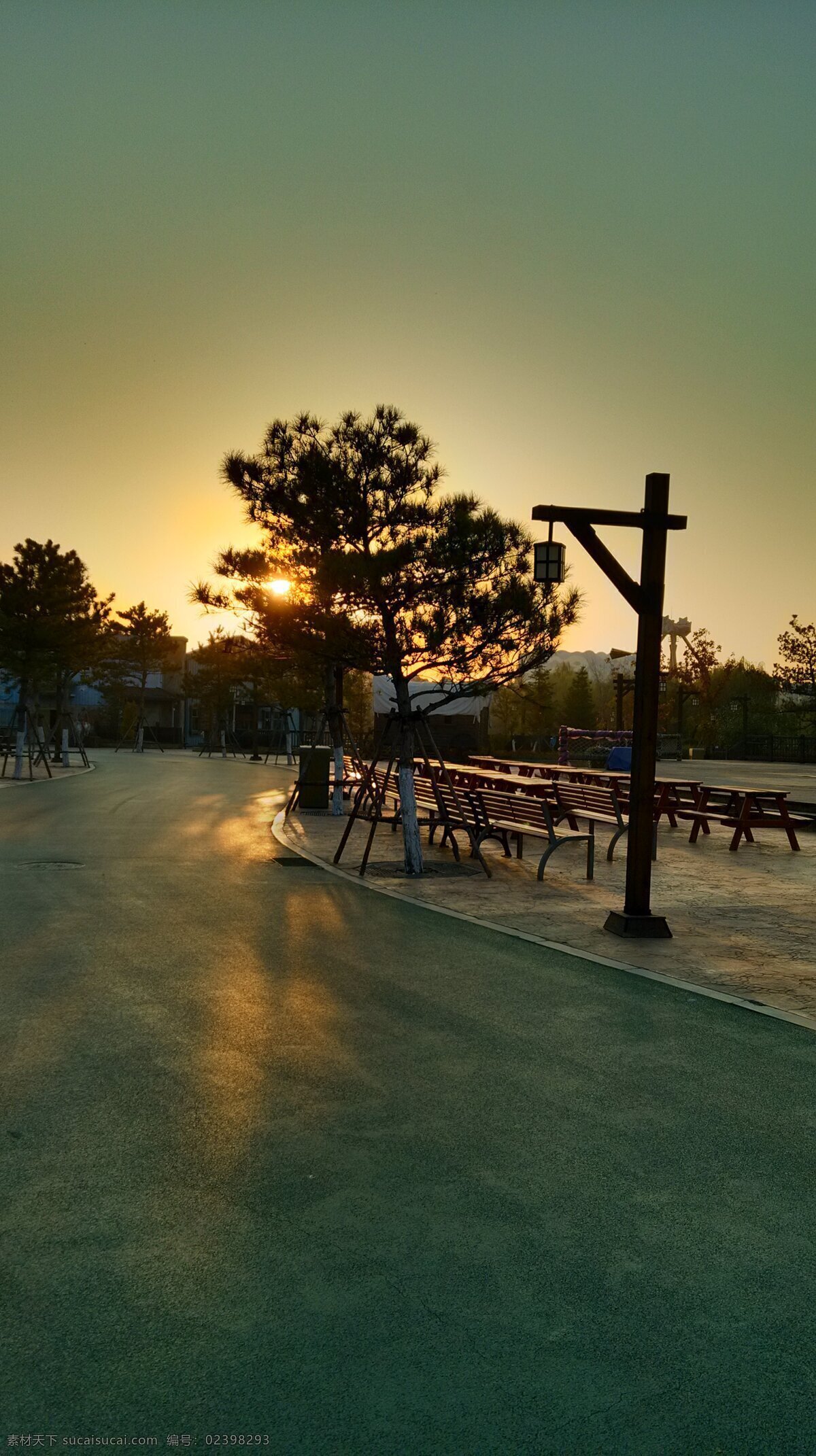 夕阳 傍晚 树 路灯 公园 柏油路 自然风景 旅游摄影 黑色