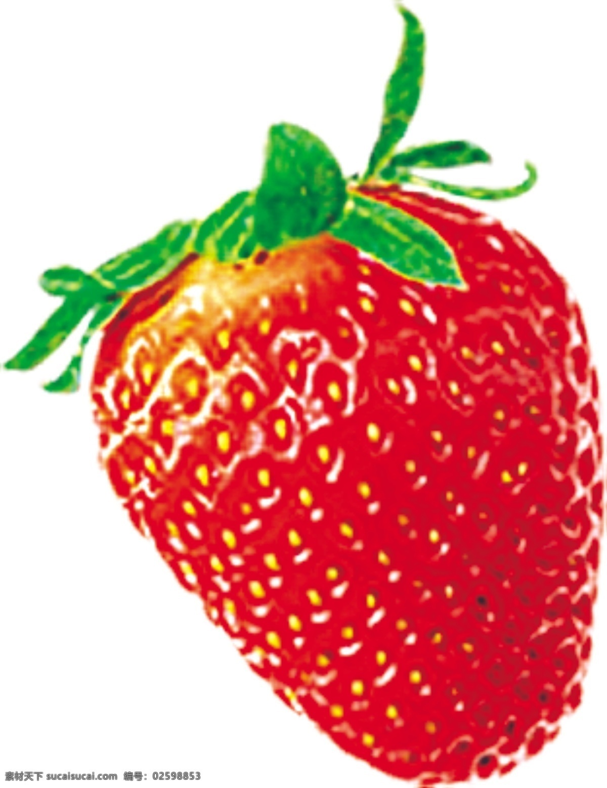 草莓 食物 实物 分层 水果