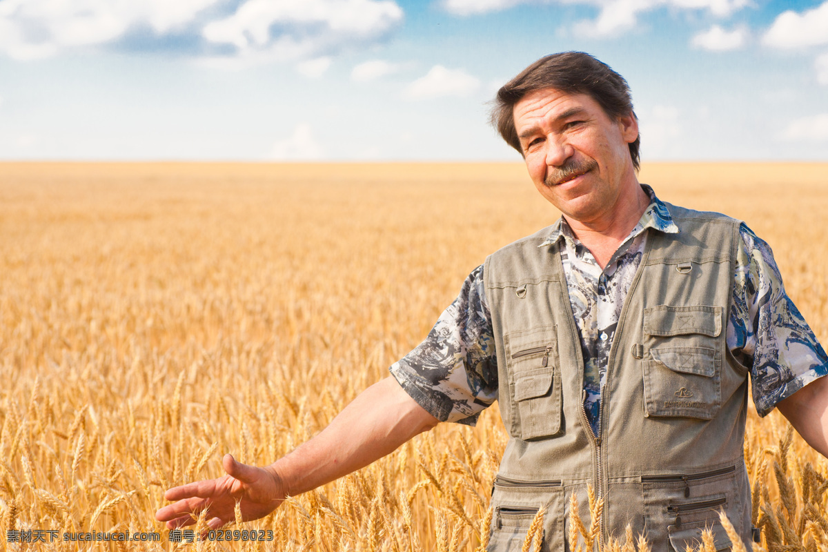 麦田里 农民 职业人物 职业男性 麦田 麦子 麦穗 商务人士 人物图片