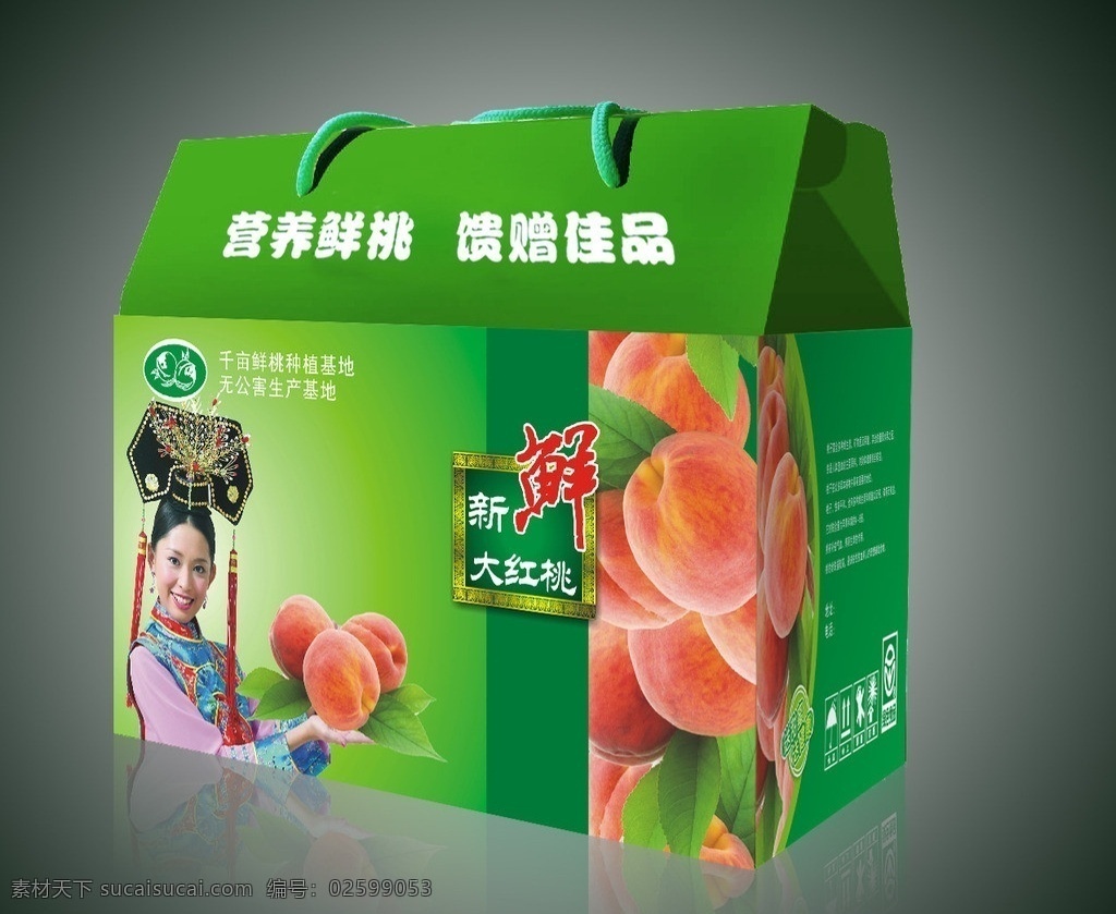 桃盒展开图 手提盒 古装美女 格格 清朝美女 礼盒 桃 桃盒 桃子 鲜桃 包装盒 水果盒 彩盒 彩箱 手提箱 桃箱 cdr素材