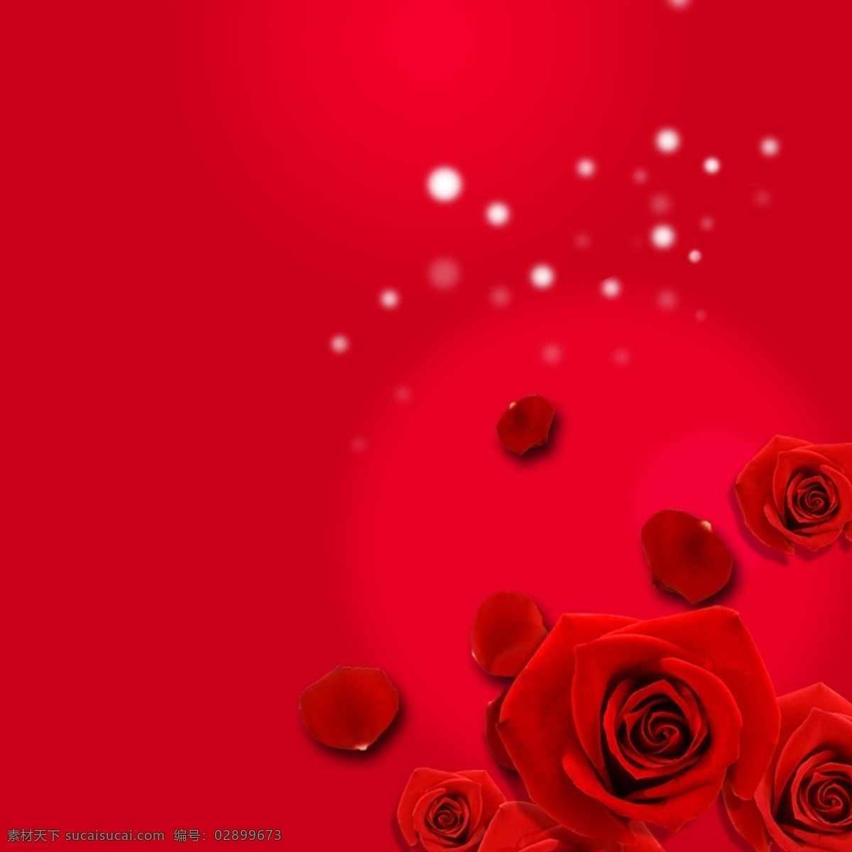 唯美 玫瑰花 背景 红色背景 玫瑰花背景 花朵 浪漫背景 红色