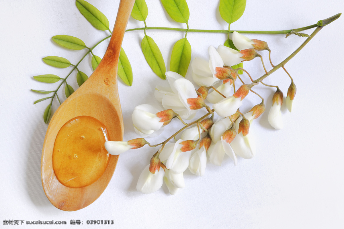 植物 树胶 工业用品 胶水 植物睡觉 木铲 鲜花 绿叶 树枝 美食图片 餐饮美食