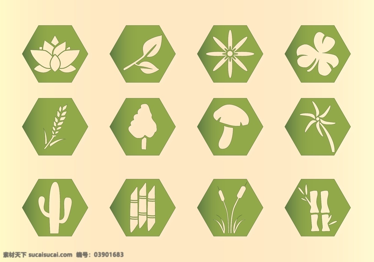 植物 矢量素材 植物插画 手绘植物 植物素材 植物图标