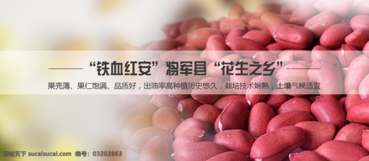 店招免费下载 店招 花生 淘宝 淘宝店招 淘宝海报 淘宝主图 主题 红皮花生 店招头子 原创设计 原创淘宝设计
