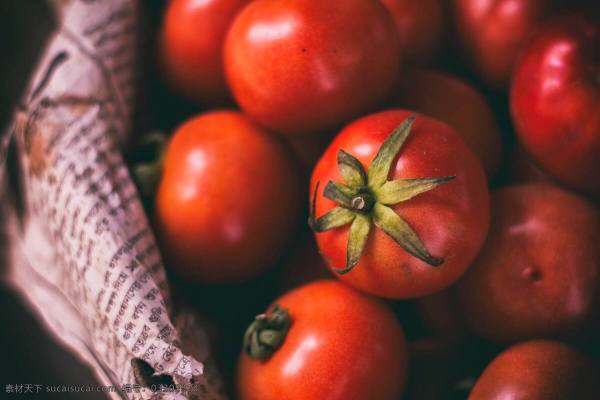西红柿 番茄 蔬菜 蔬果 果蔬 有机蔬菜 绿色蔬菜 农产品 菜篮子 生物世界