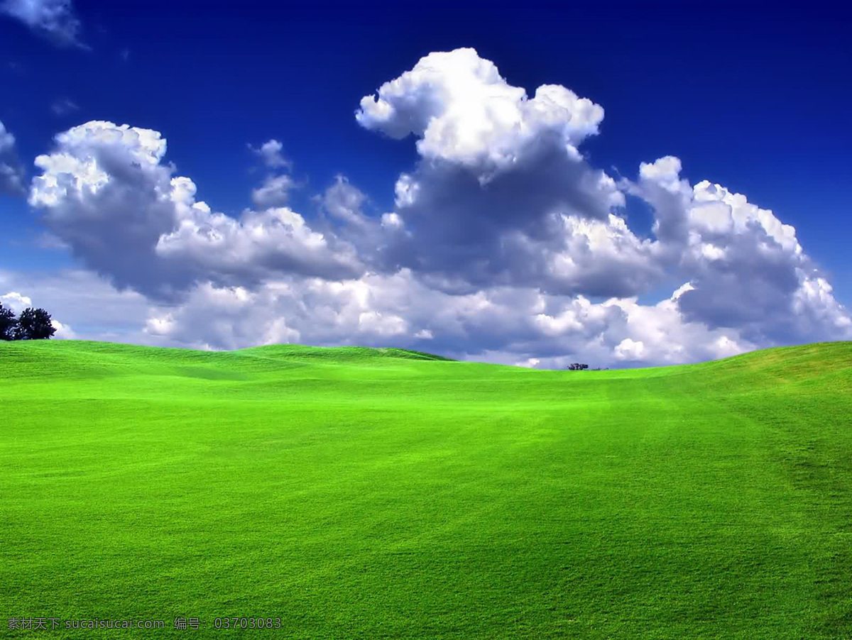 蓝天 白云 绿草地 风景 美景 壁纸 云彩 草地 绿色的草坪 远处的树 自然风景 自然景观