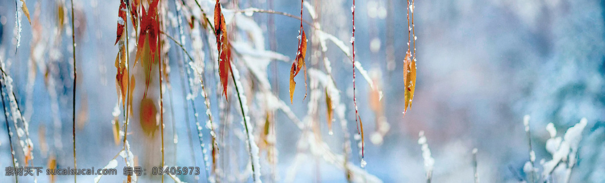 冬天 雪景 banner 创意设计 淘宝素材 淘宝主图素材 淘宝描述模板 淘宝装修素材 宝贝 详情 页 模板 淘宝海报 海报模板 淘宝 免费 装修 店铺 白色