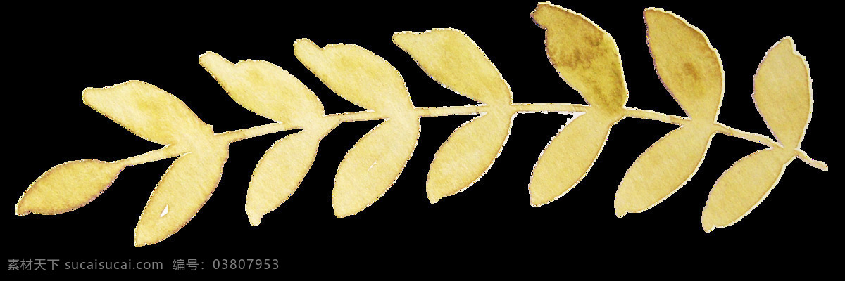 枯黄 树叶 卡通 透明 抠图专用 装饰 设计素材