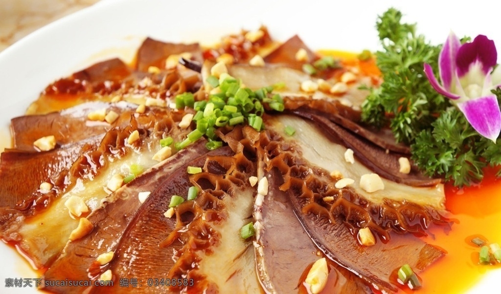 夫妻肺片图片 夫妻肺片 川菜 美食 肺片 凉拌肺片 红油肺片 传统美食 餐饮美食 高清菜谱用图 美食类