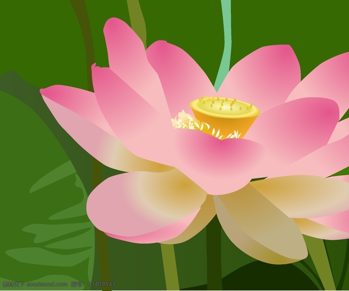 莲花矢量素材 莲花 花 美 美丽 开花 盛开 花的 植物区系 粉红色 池 生物世界 花草