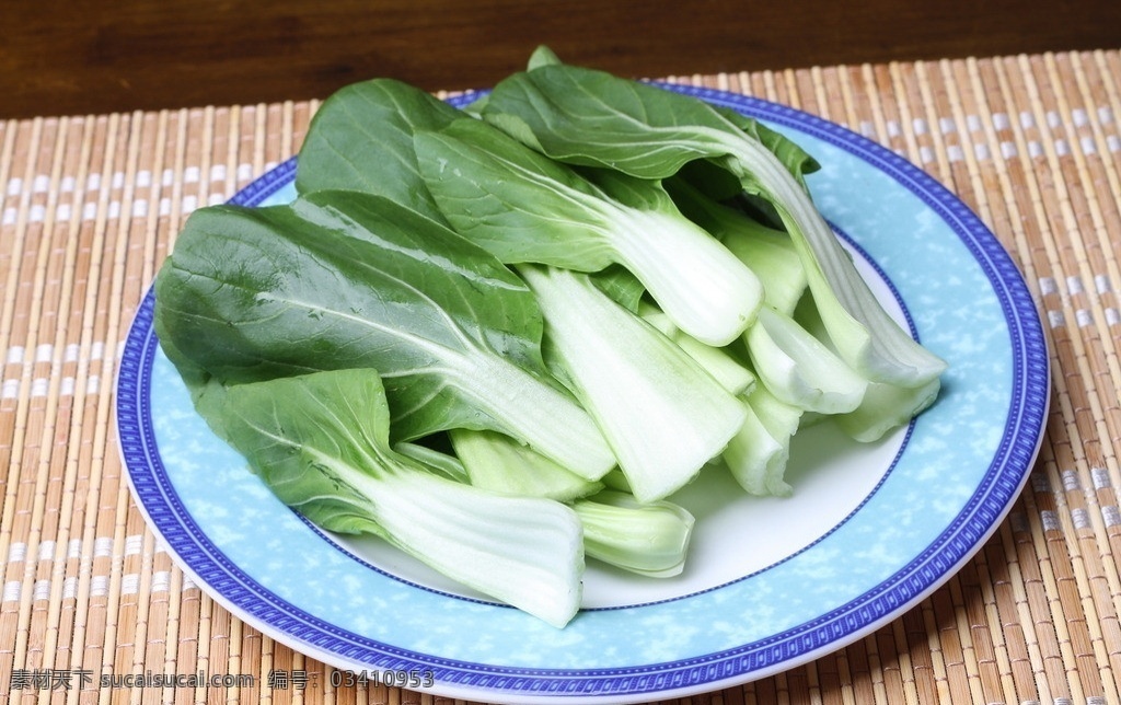 小白菜 盘子 蔬菜 小塘菜 生物世界