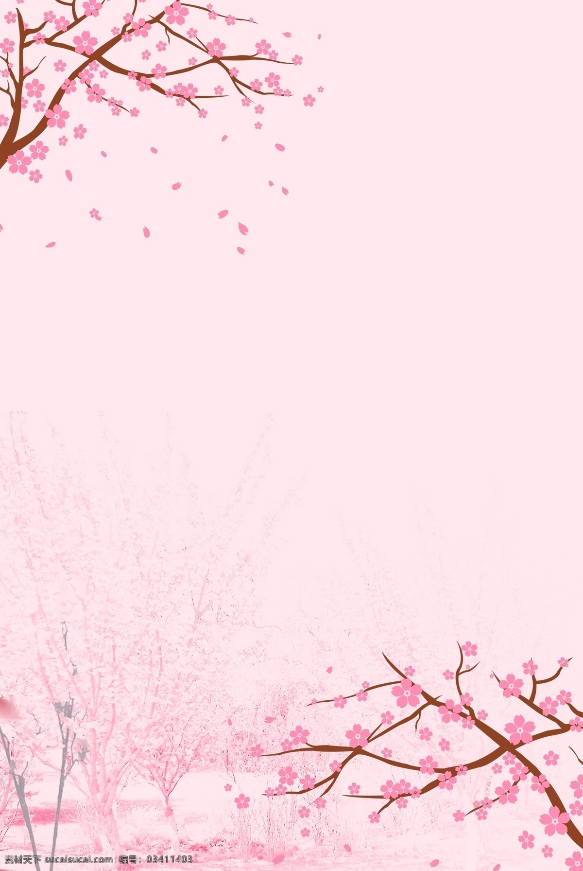 桃花 季 桃花节 背景 春天 春季 唯美 清新 春季上新 粉色 花卉