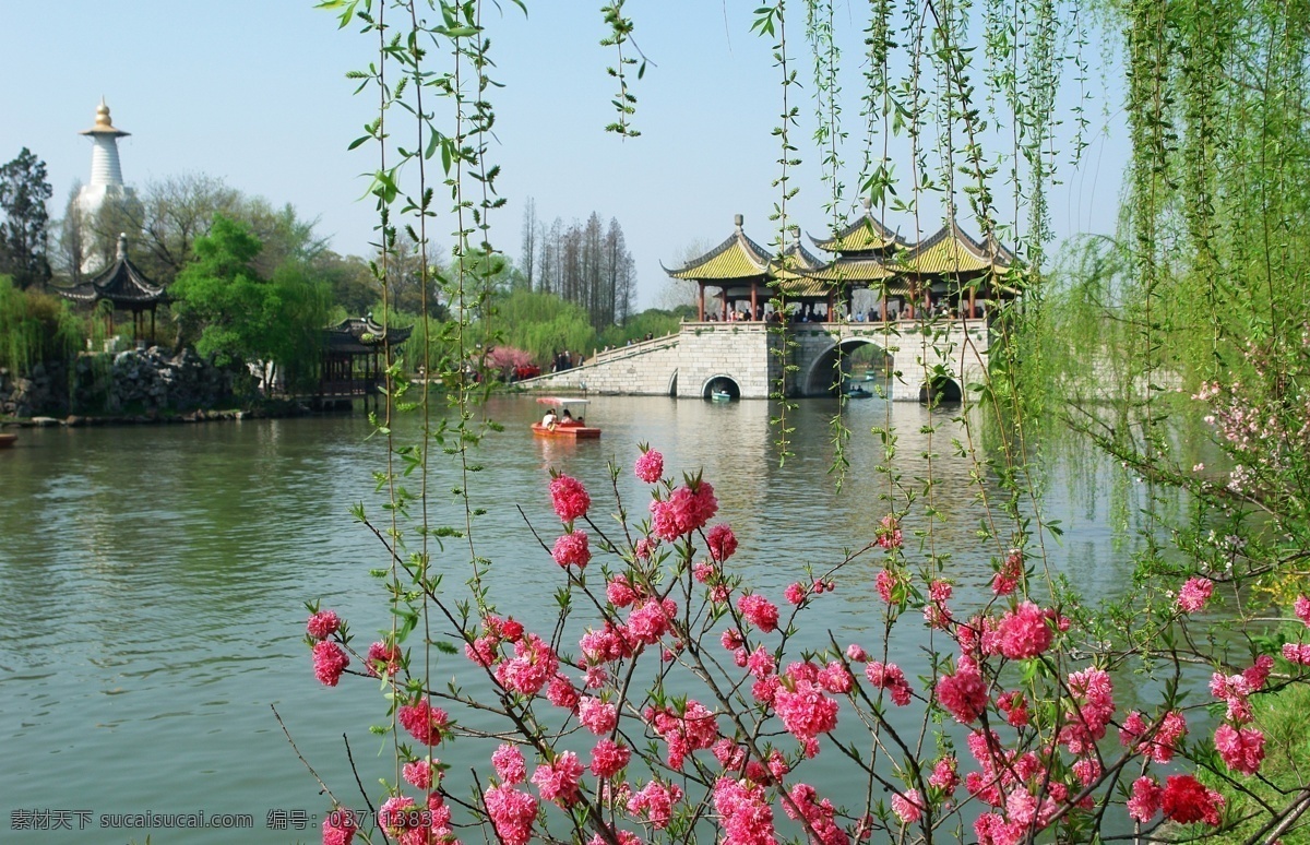 垂柳春波 瘦西湖 五亭桥 杨柳 桃花 春 山水风景 自然景观