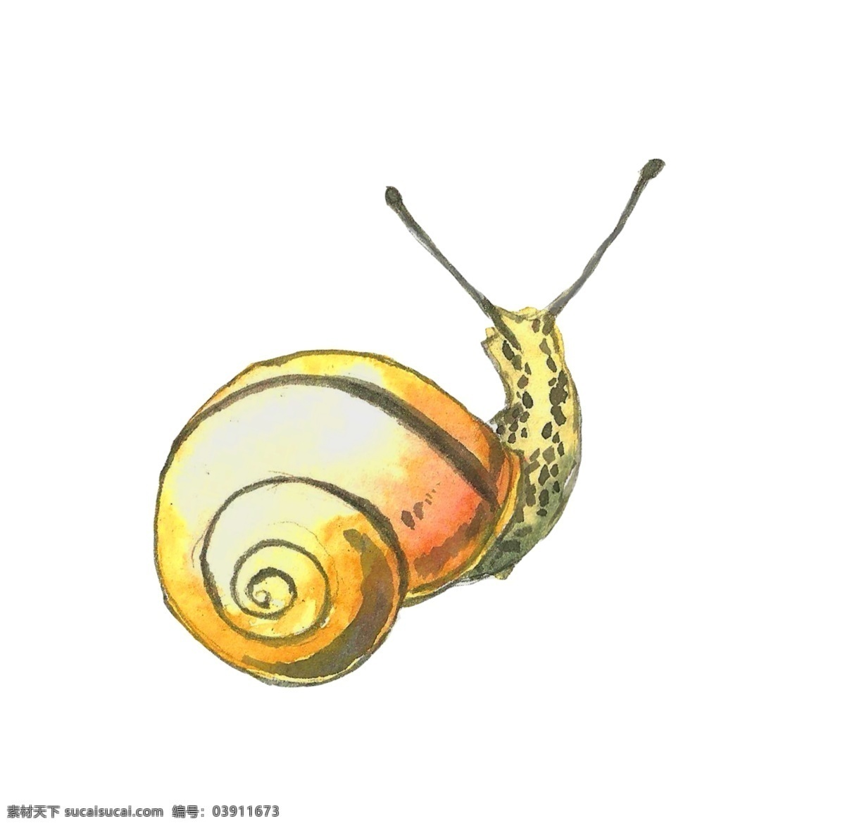 卡通 蜗牛 源文件 海报设计装饰 昆虫 设计素材 淘宝素材 装饰
