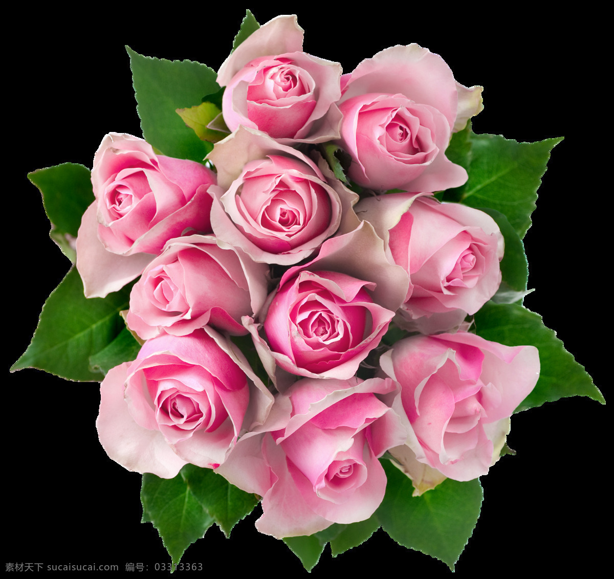 免抠素材 免抠 玫瑰 红玫瑰 花 鲜花 花儿 花朵 树叶 绿叶 特写 壁纸 美丽 漂亮 花草 玫瑰摄影 玫瑰图片 玫瑰素材 花类 生物世界 红色玫瑰花 玫瑰背景 鲜花背景 红色背景 水珠 情人节 情人节玫瑰 爱情 红色花朵 婚庆素材 植物