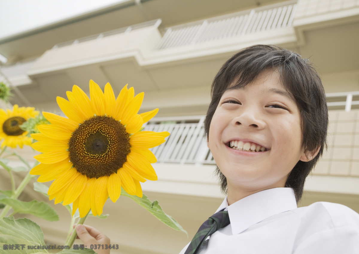 手 葵花 小 男孩 快乐儿童 男生 开心 笑容 向日葵 小男孩 小学 孩子 学生 同学 学校 校园 教学 教育 高清图片 生活人物 人物图片