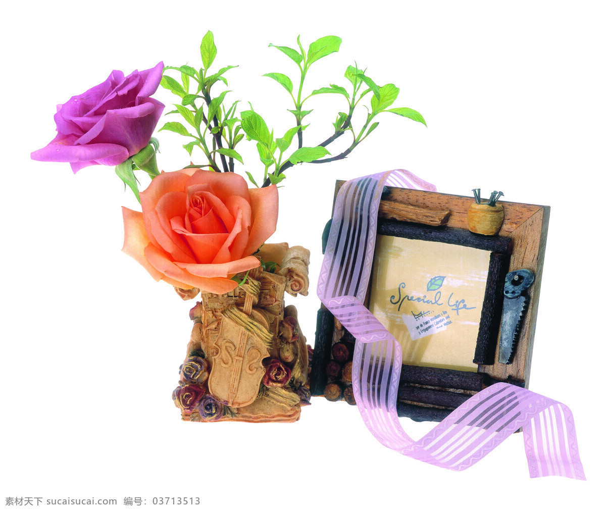 美好回忆 鲜花 植物 相框 照片 记忆 彩带 文化艺术
