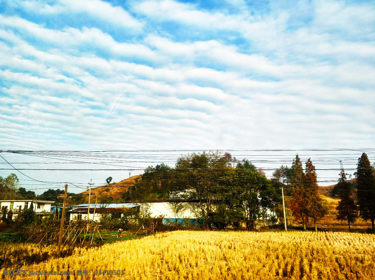 江西 山村 金黄 稻田 小山丘 蓝天 摄影作品 旅游摄影 自然风景