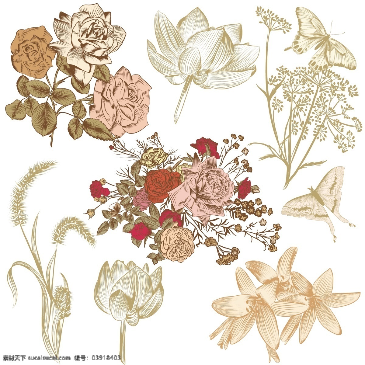 手绘 古典 花卉 收藏 花 酒 手 自然 复古 春天 树叶 玫瑰 植物 绘画 复古印花 复古的花 蝴蝶 美丽