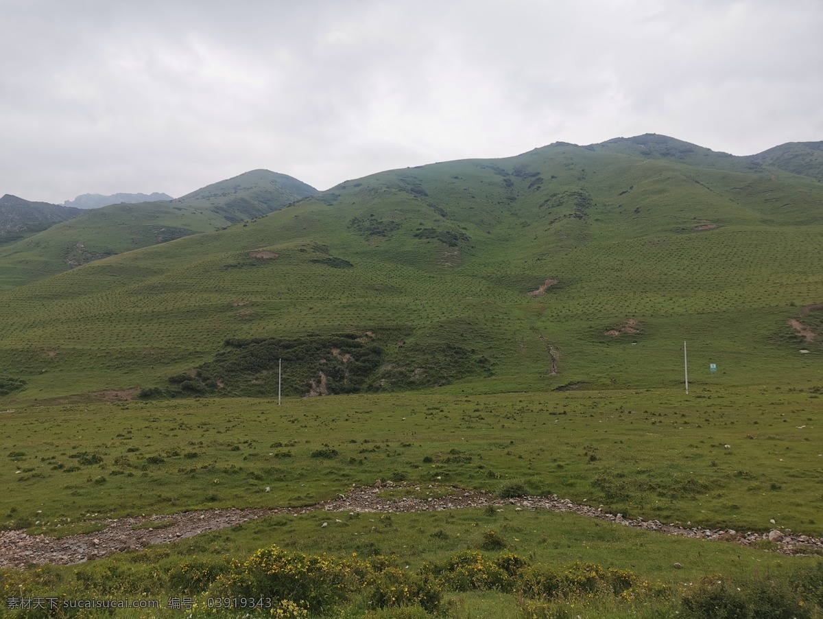 草原 高山草甸 高山流水 小溪 石头 天空 植物 绿色 草地 草坪 羊群 牦牛 羊 绵阳 牛 沿途风景 自然景观 自然风景