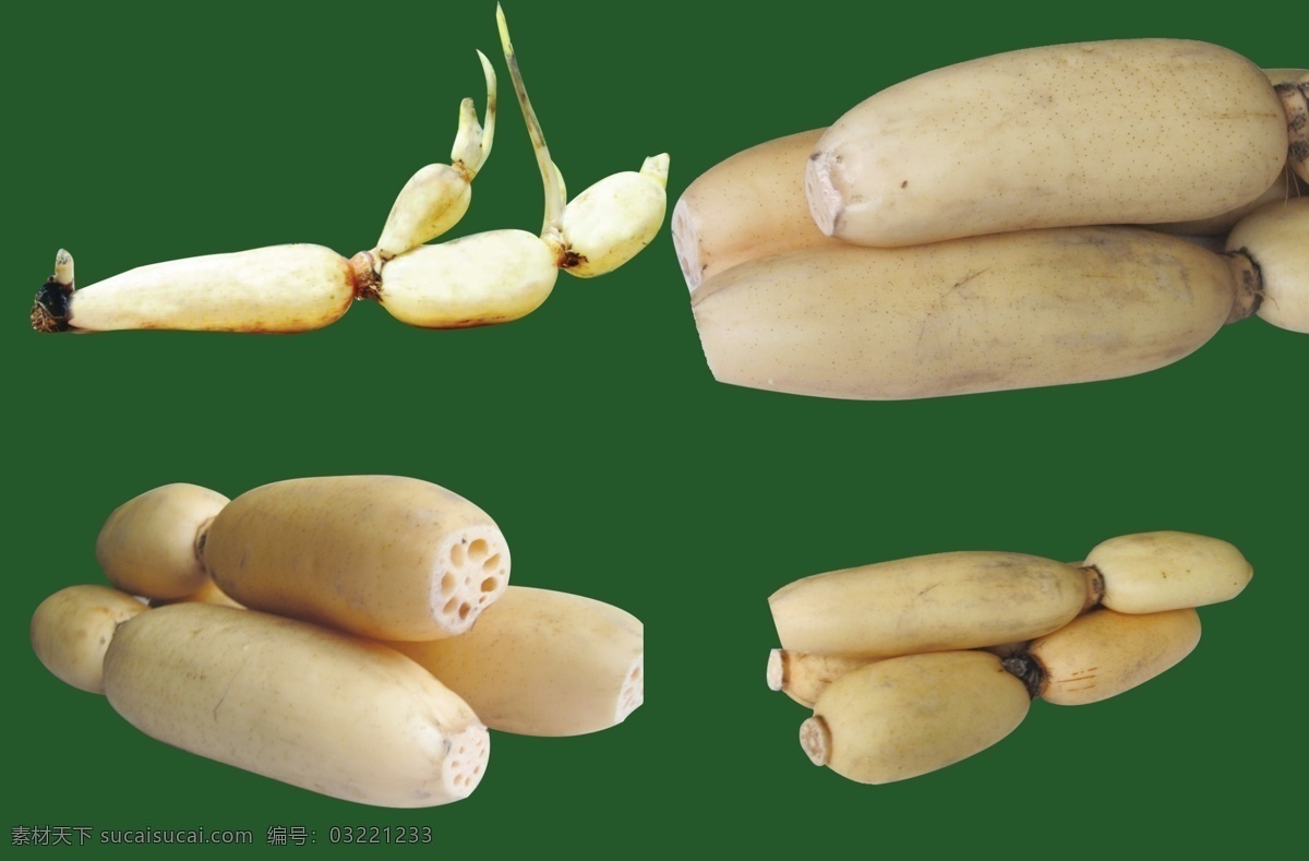 藕 蔬菜 分层 源文件
