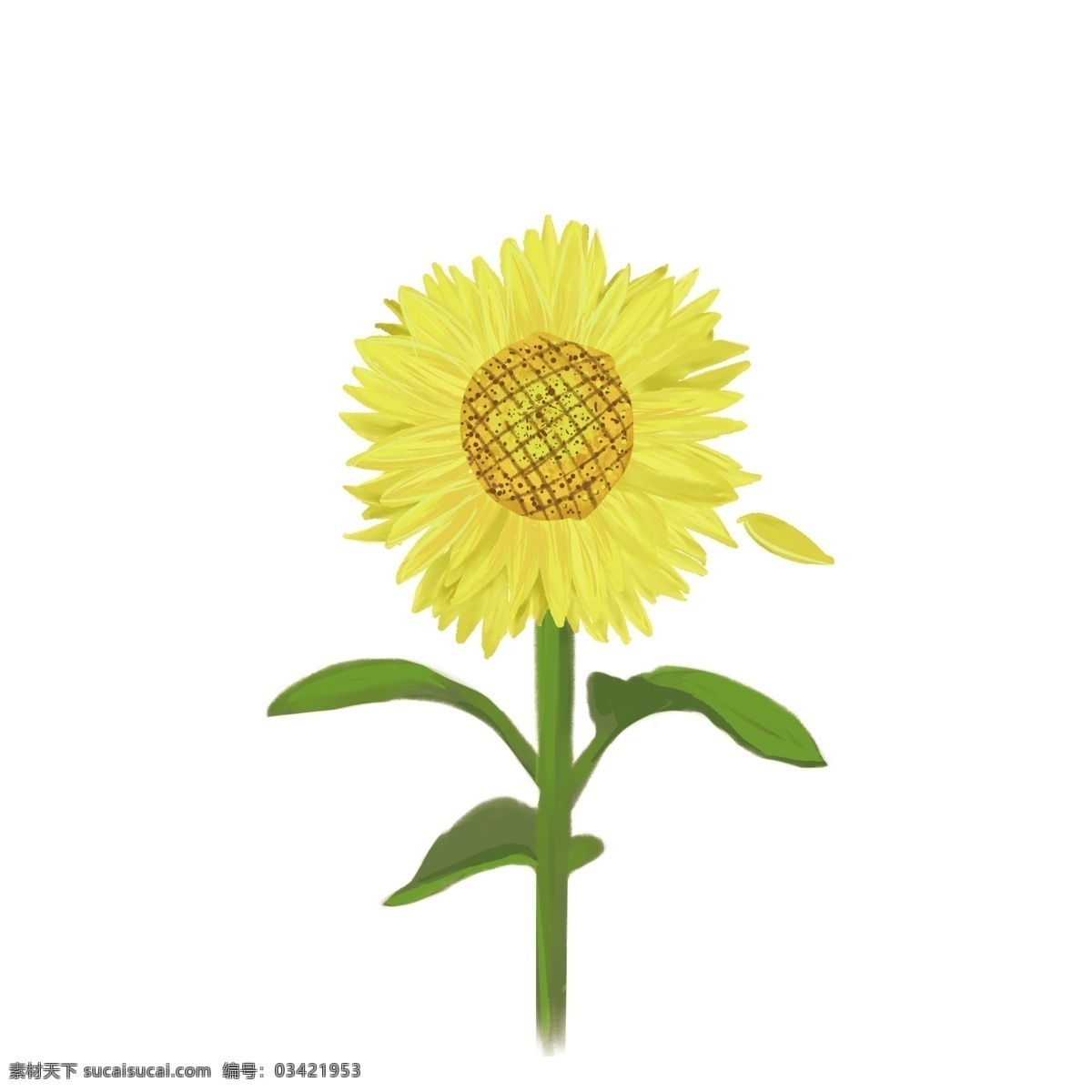 手绘 花 元素 厚 涂 免 抠 透明 向日葵 植物 手绘花 花卉 花朵 鲜花 装饰元素 免抠