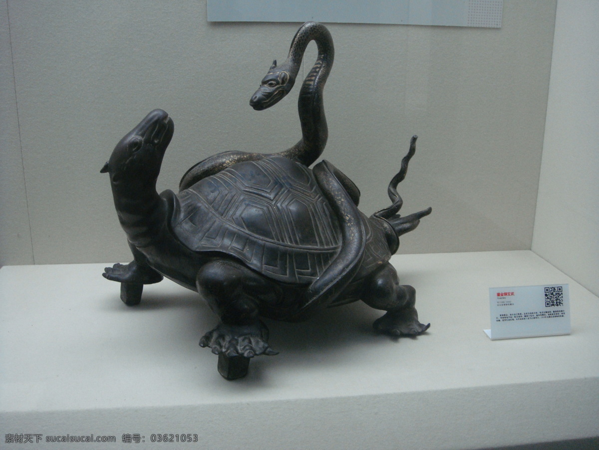 乌龟 传统文化 工艺品 蛇 文化艺术 艺术品 展览 铜龟 龟与蛇 装饰素材 展示设计