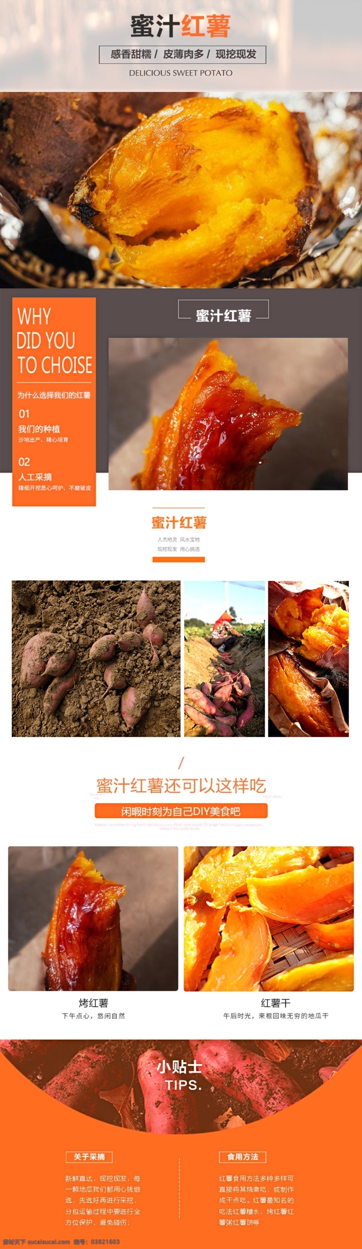 蜜汁 红薯 地瓜 香甜 商品 详情 页 详情页