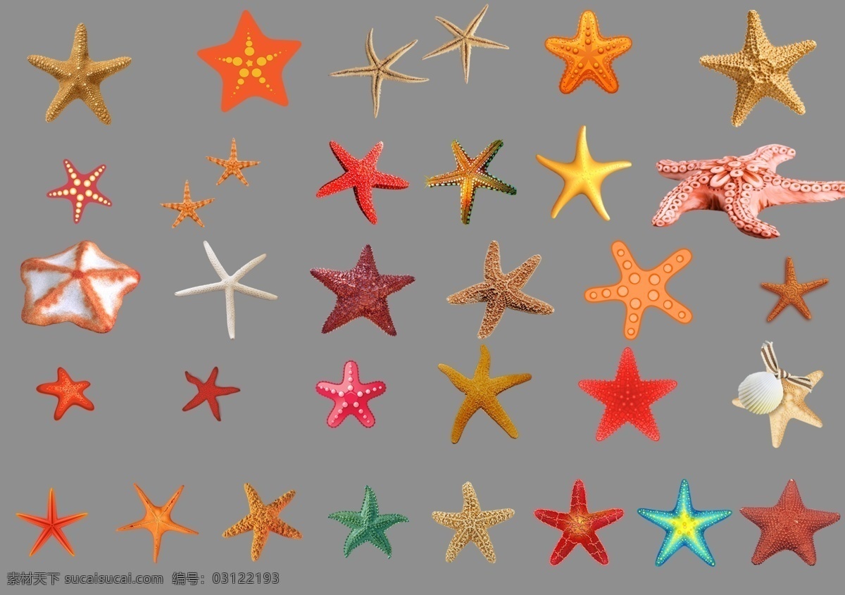 海星图片 海星 五角星 大海 海洋生物 生物世界 透明底 免抠图 分层图 分层 动物透明底